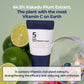 No.5 Daily Multi-Vitamin Cream