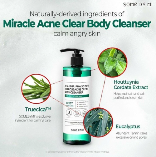 AHA-BHA-PHA 30 Days Miracle Acne Clear Body Cleanser (400g)