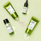 Super Matcha Pore Care Starter Kit (4 Components)