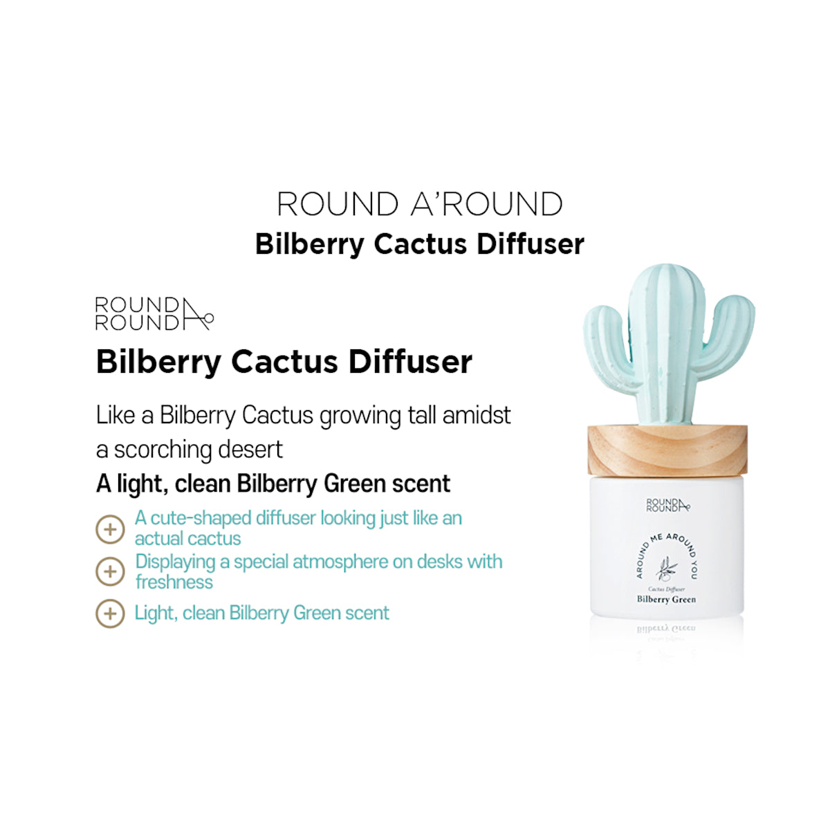 Cactus Diffuser - Billberry Cactus