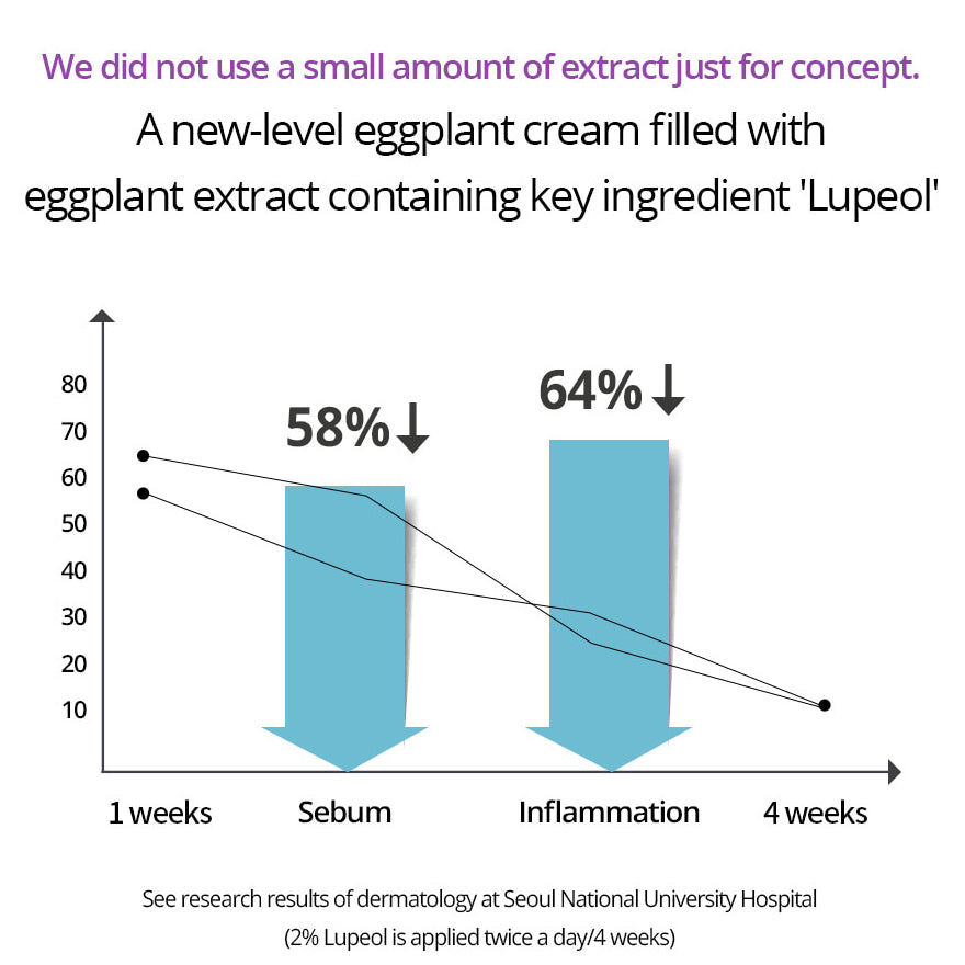 Eggplant BHA Water Cream 50ml