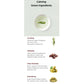Herb Green Cleansing Oil 200ml